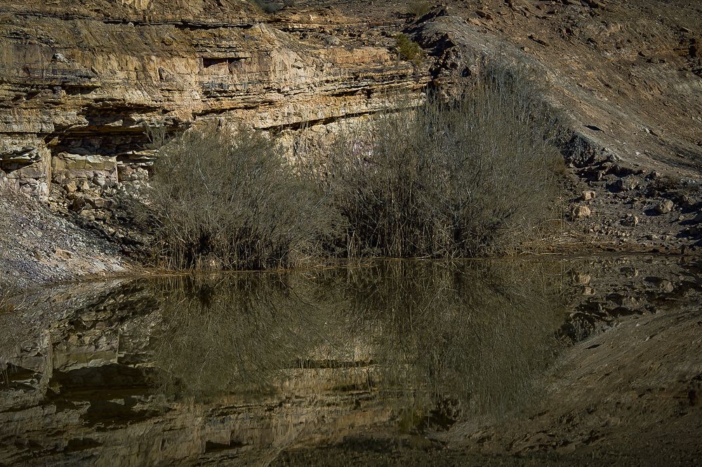 Photograph by Vladimir Sarichev