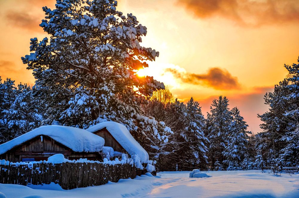 Photograph by Артём Шестаков