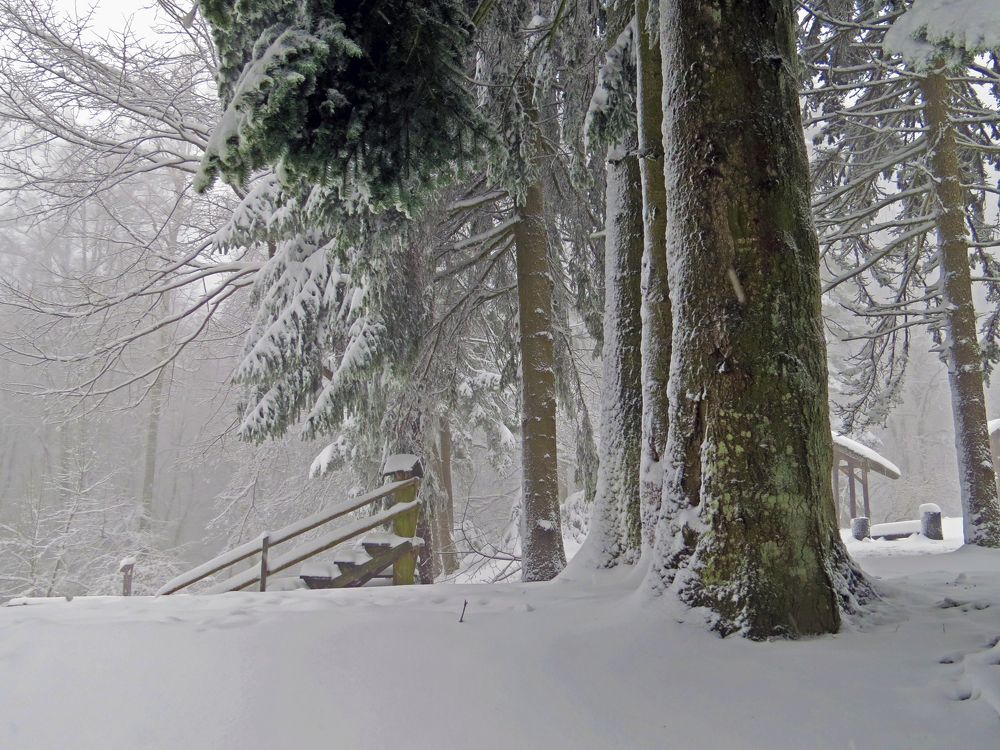 Фотография автора Katica Pecigoš-Kljuković