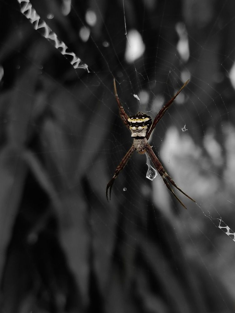 Photo #7021081