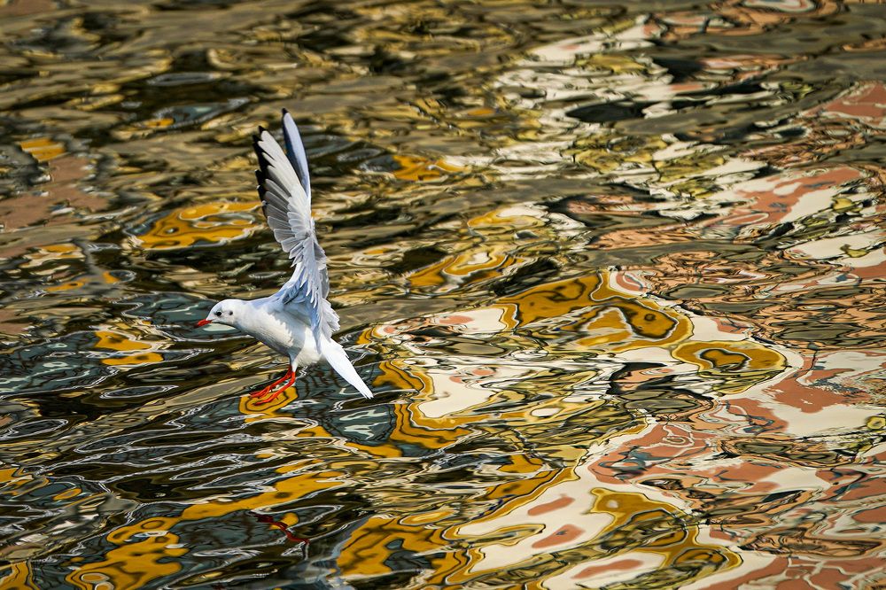 Photograph by Наталия Макарова