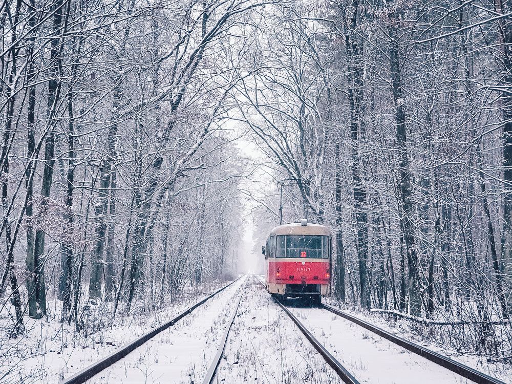 Photograph by Liudmila Kirillova