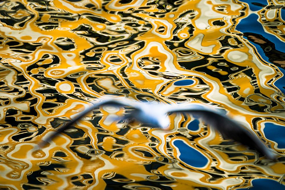 Photograph by Наталия Макарова