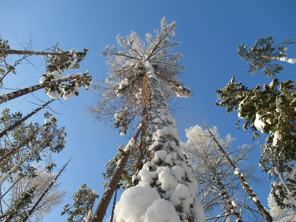 Photograph by Rustam Abdulin