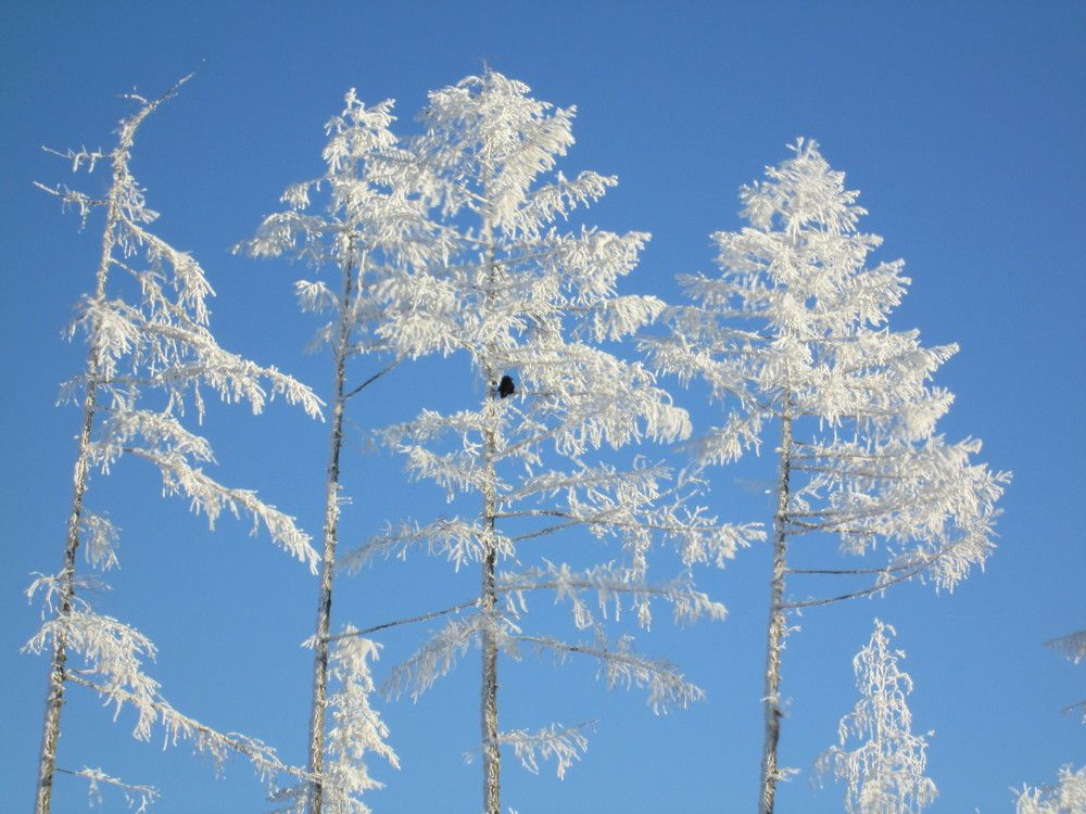 Photograph by Rustam Abdulin