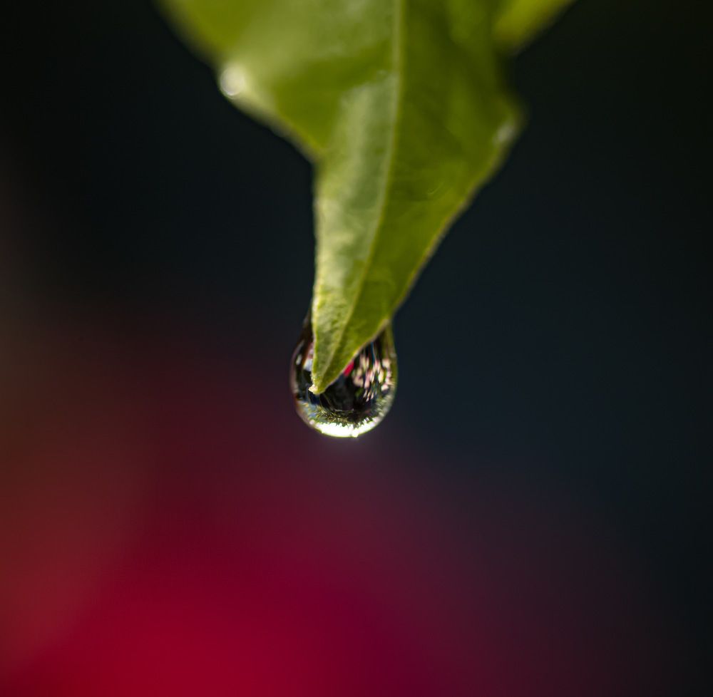 Photograph by Mikmal Ahmed