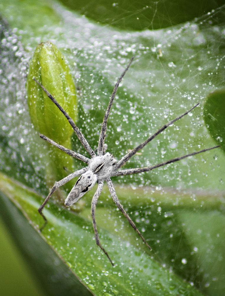 Photograph by Антонина Басалай