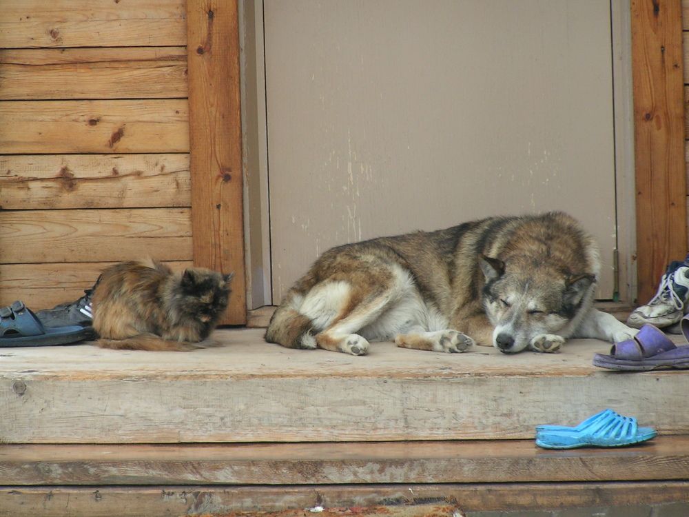 Фотография автора Клавдия Васильева