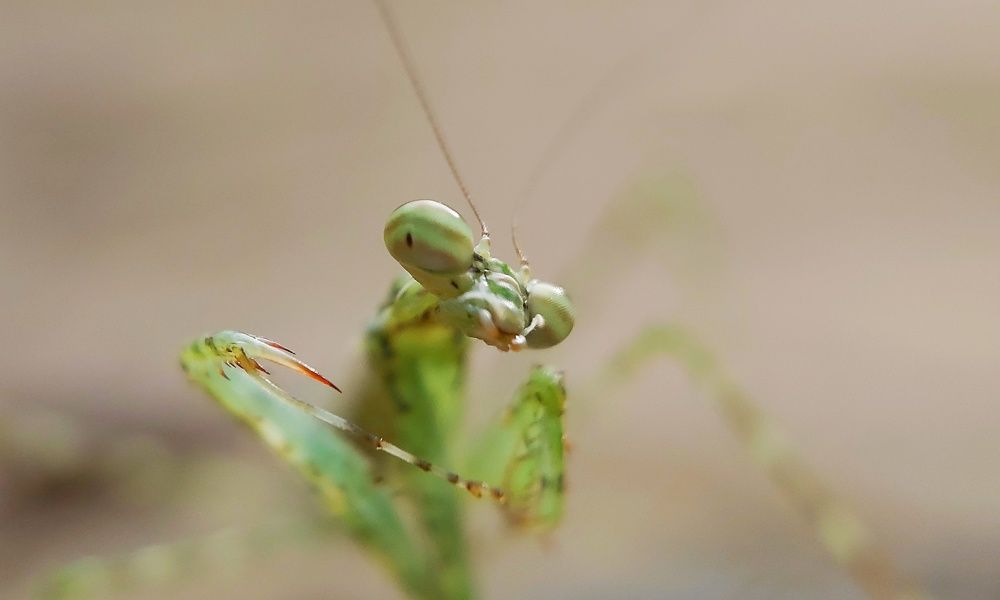 Photograph by I Komang Wirnata