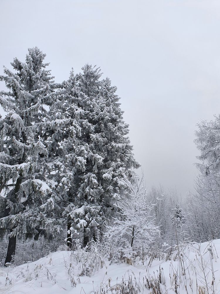 Исчезающая красота