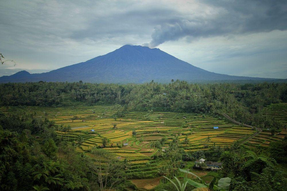 Photograph by Budi Aryawan