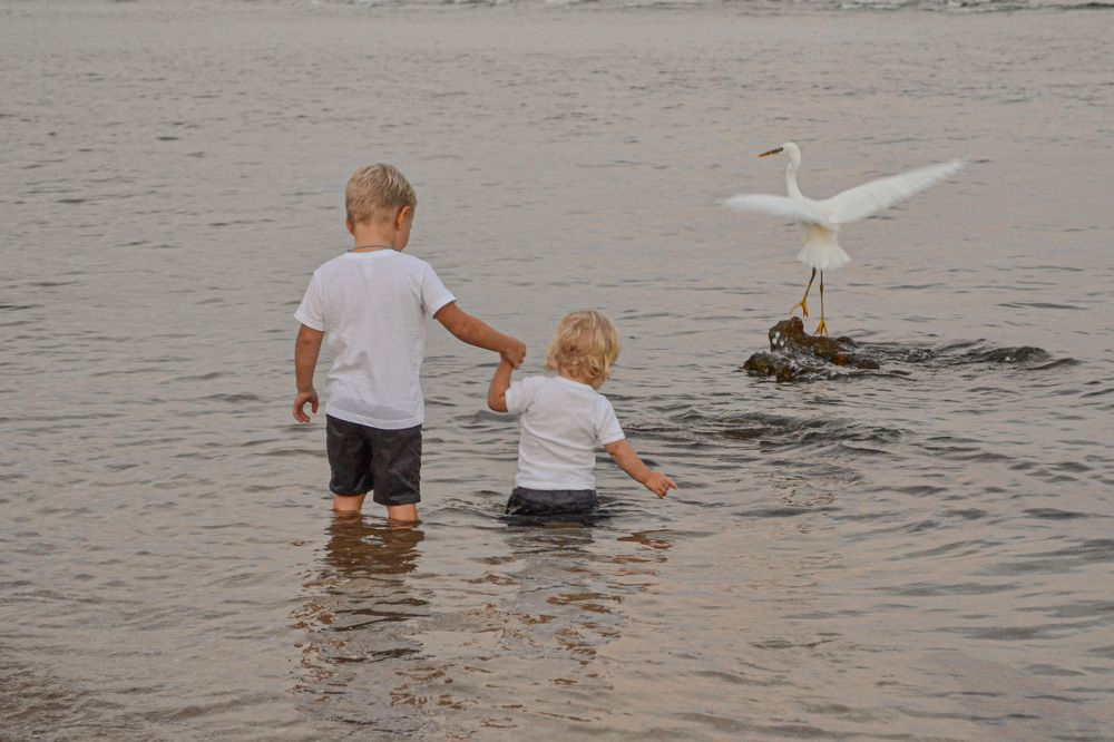 Photograph by Галина Родина