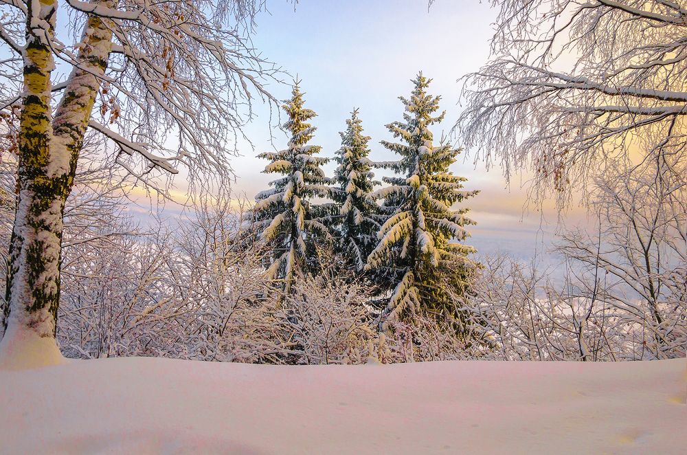 Photograph by Надежда Колеватова