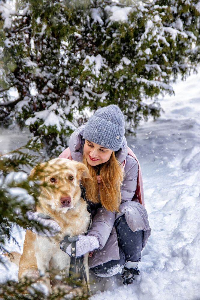 Фотография автора Юлия Фроленко