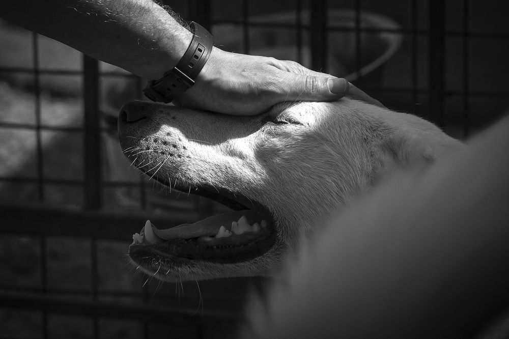 Photograph by Наталия Макарова