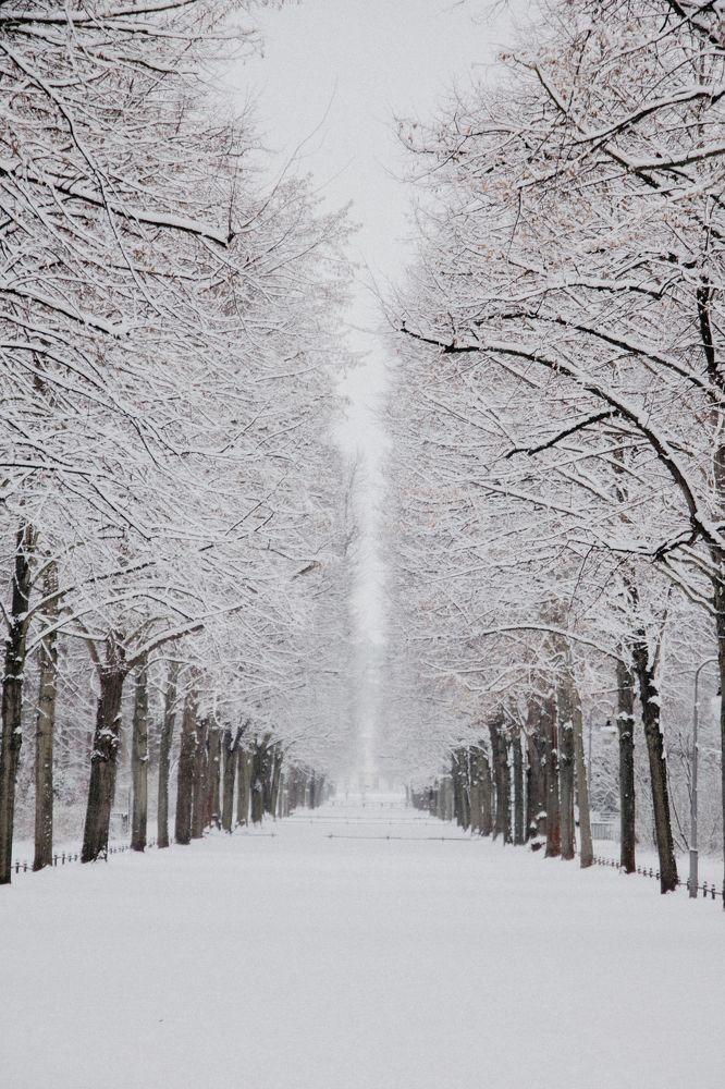 Photograph by Анна Рожкова