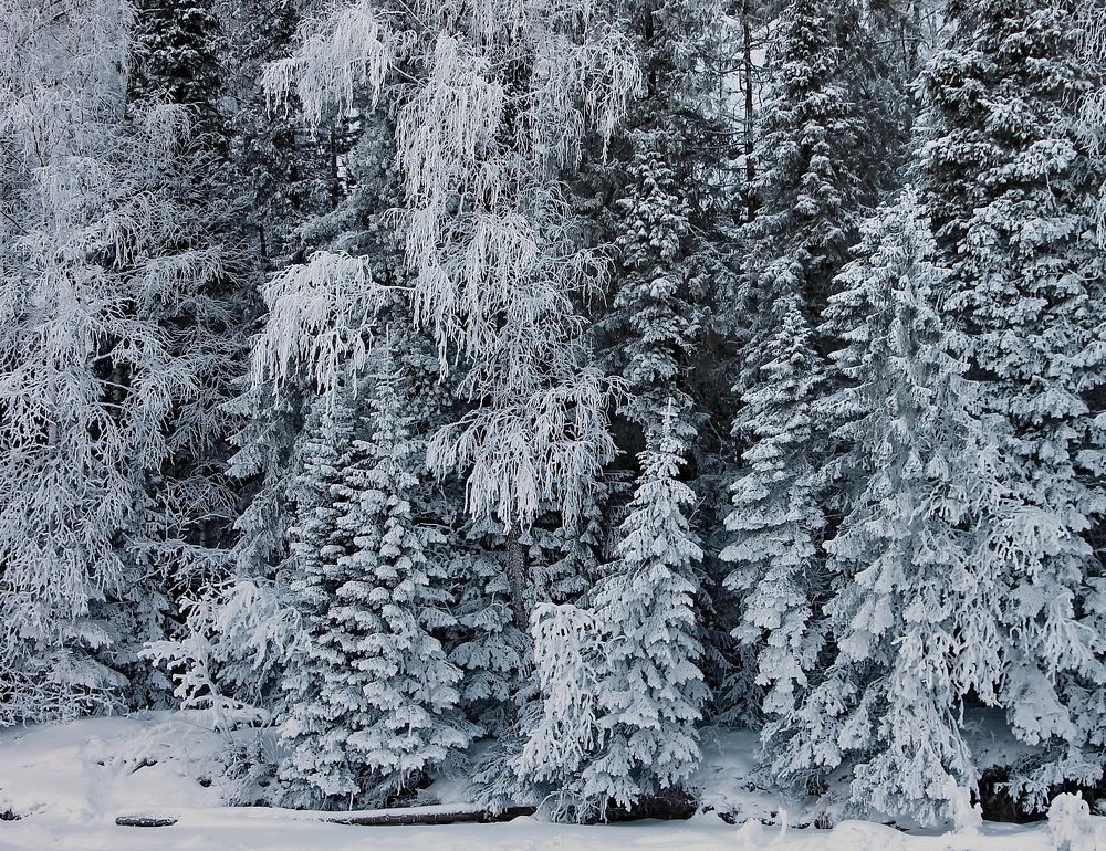 Photograph by Sergei Petrov