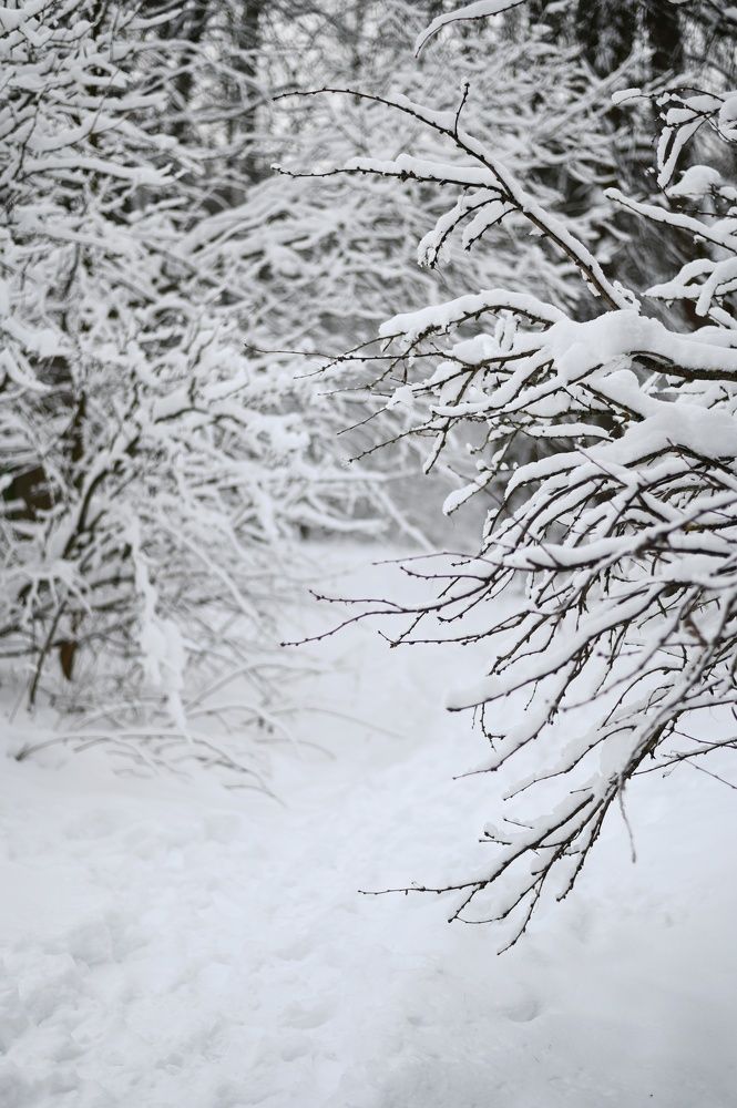 Photograph by Екатерина Дубровская