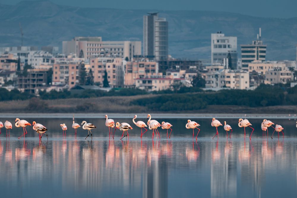 Photograph by Evgeni Fabis