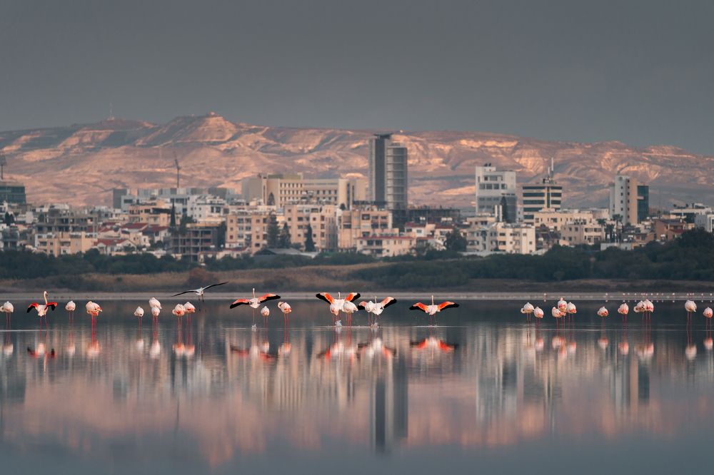 Photograph by Evgeni Fabis