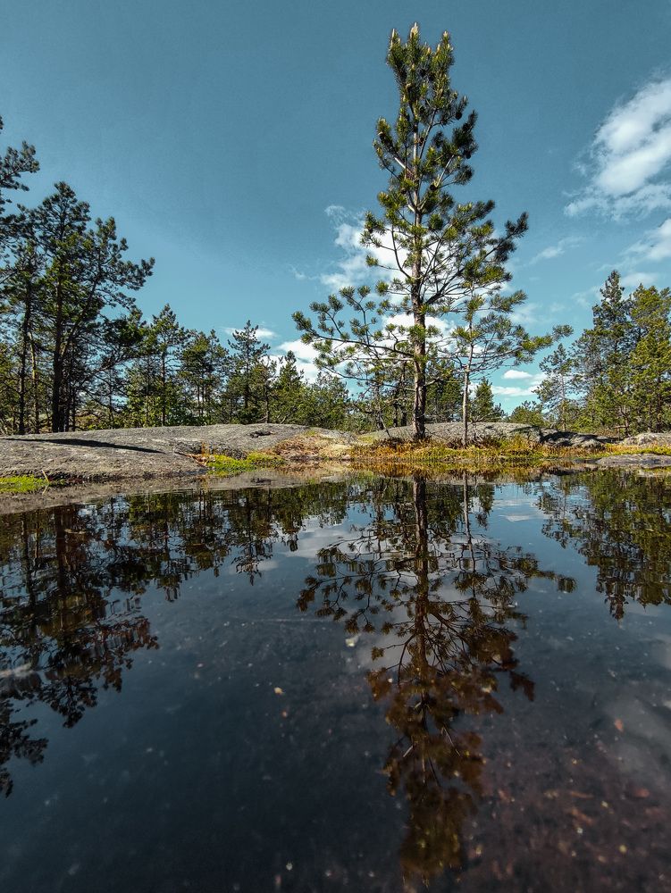 Photograph by Михаил Азаров