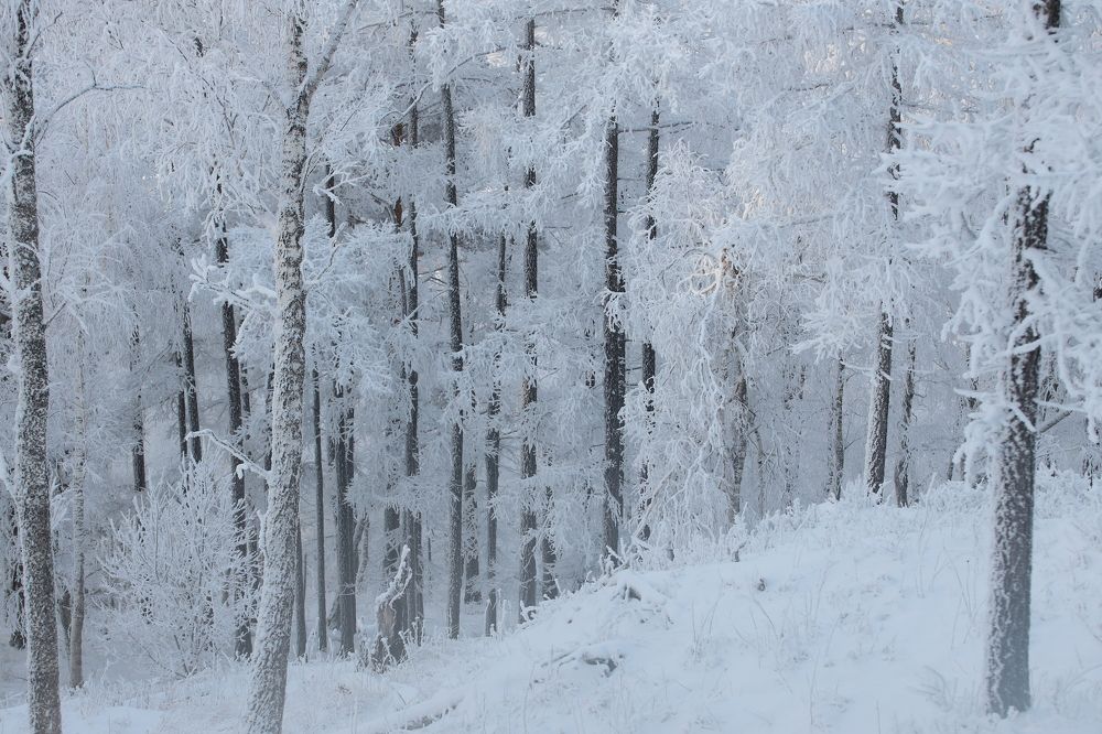 Photograph by Maksim Malkin