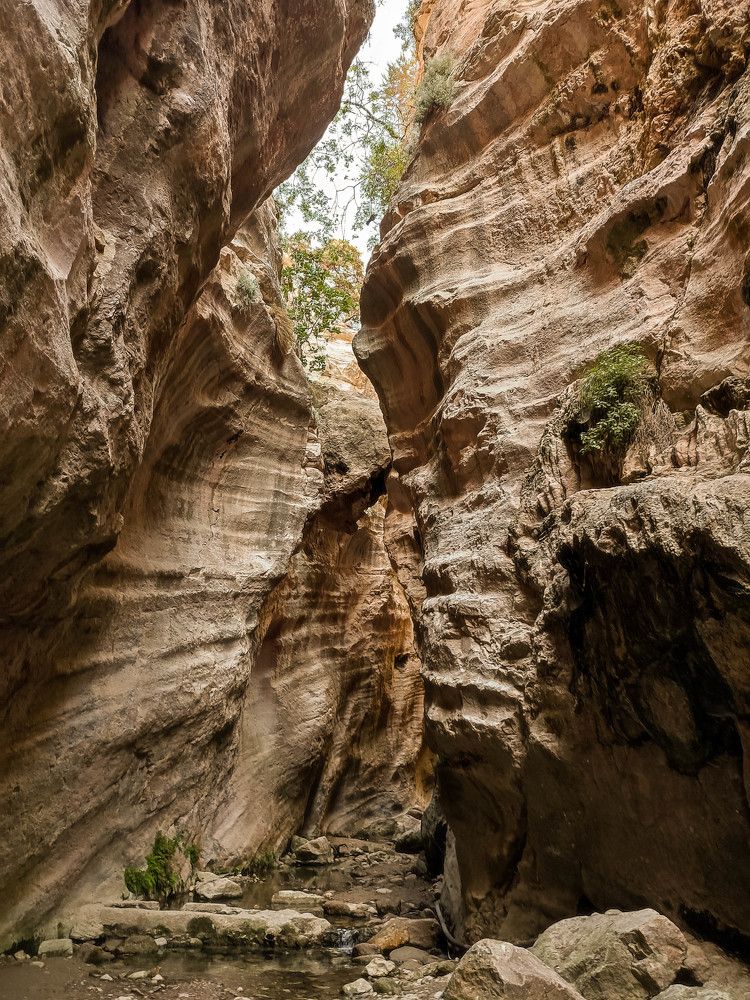 Photograph by Михаил Азаров