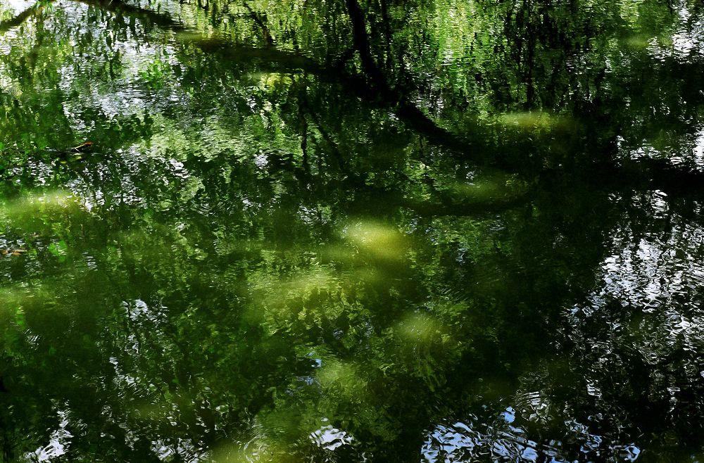 Photograph by Дмитрий Дрозд