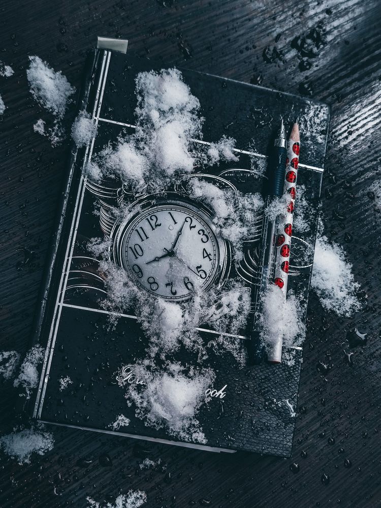 Занесённые снегом