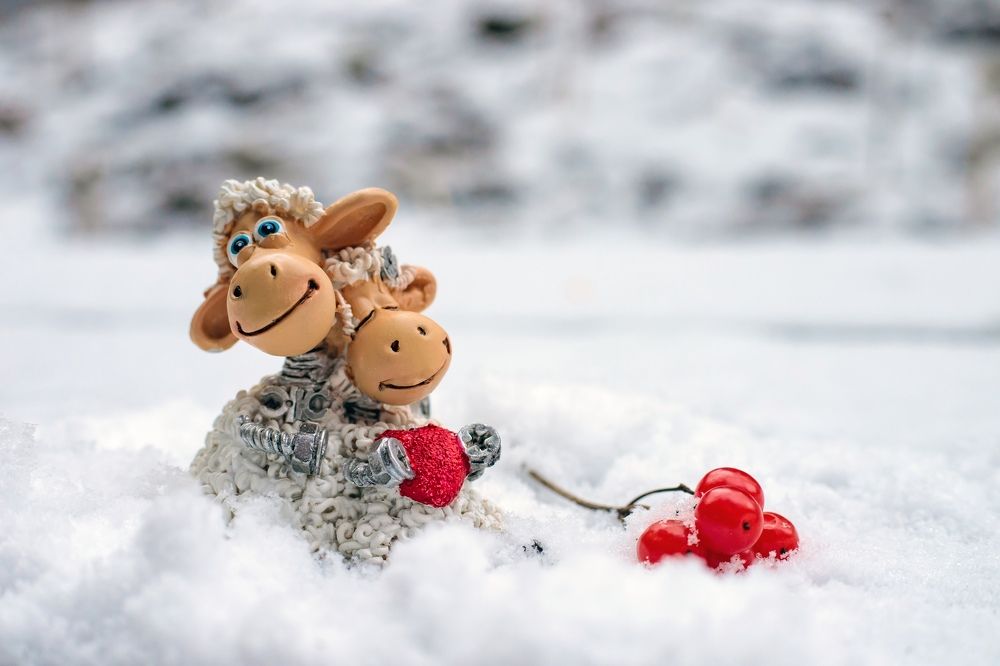 Фотография автора Мария Обидина