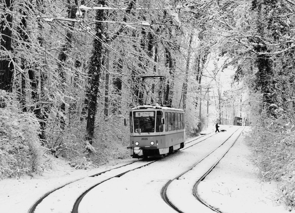 Снежно всекидневие