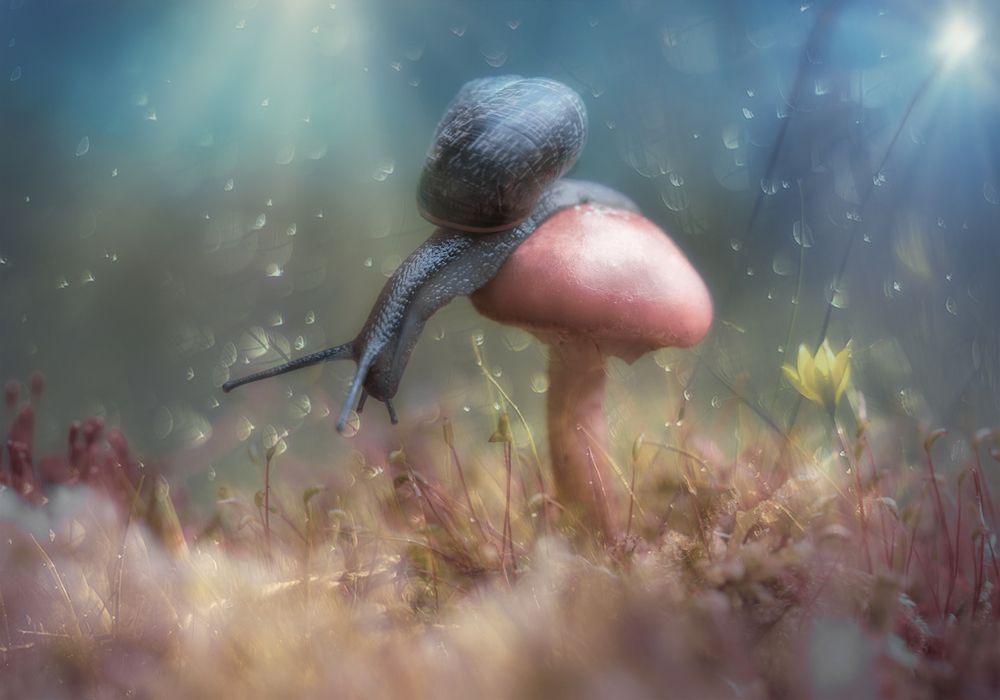 Фотография автора Мария Обидина