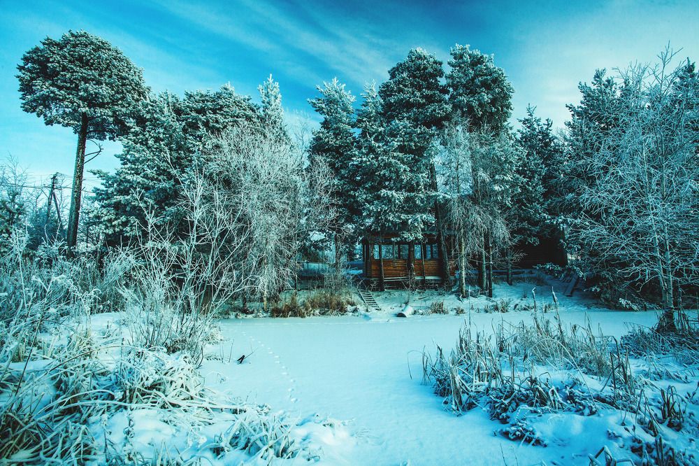 Photograph by Виталий Гуляев