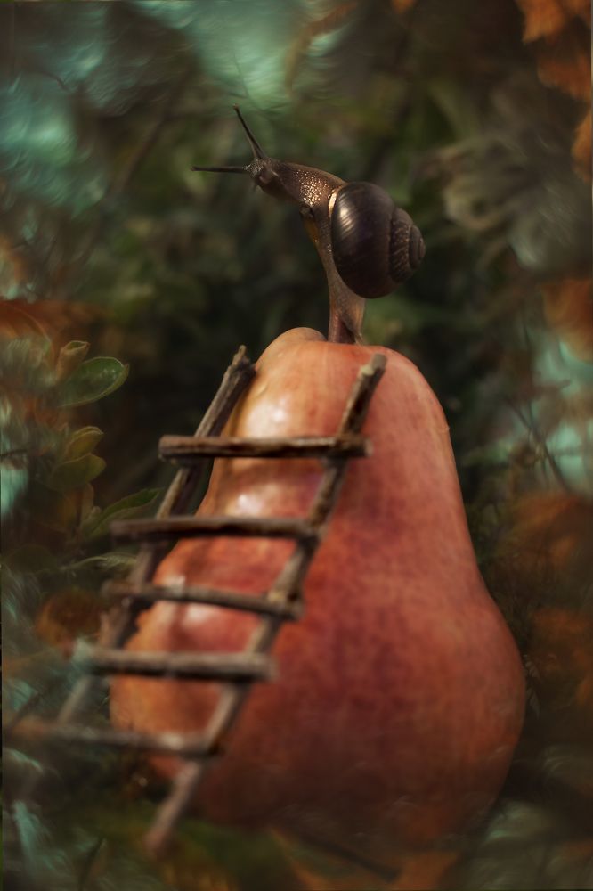 Фотография автора Мария Обидина