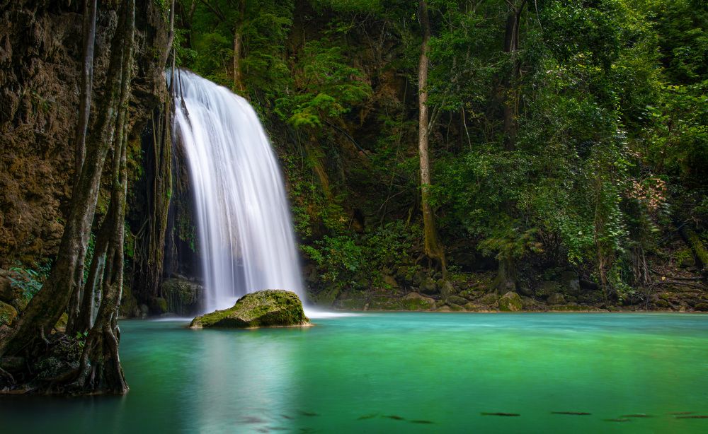 Photograph by Michael Mettier