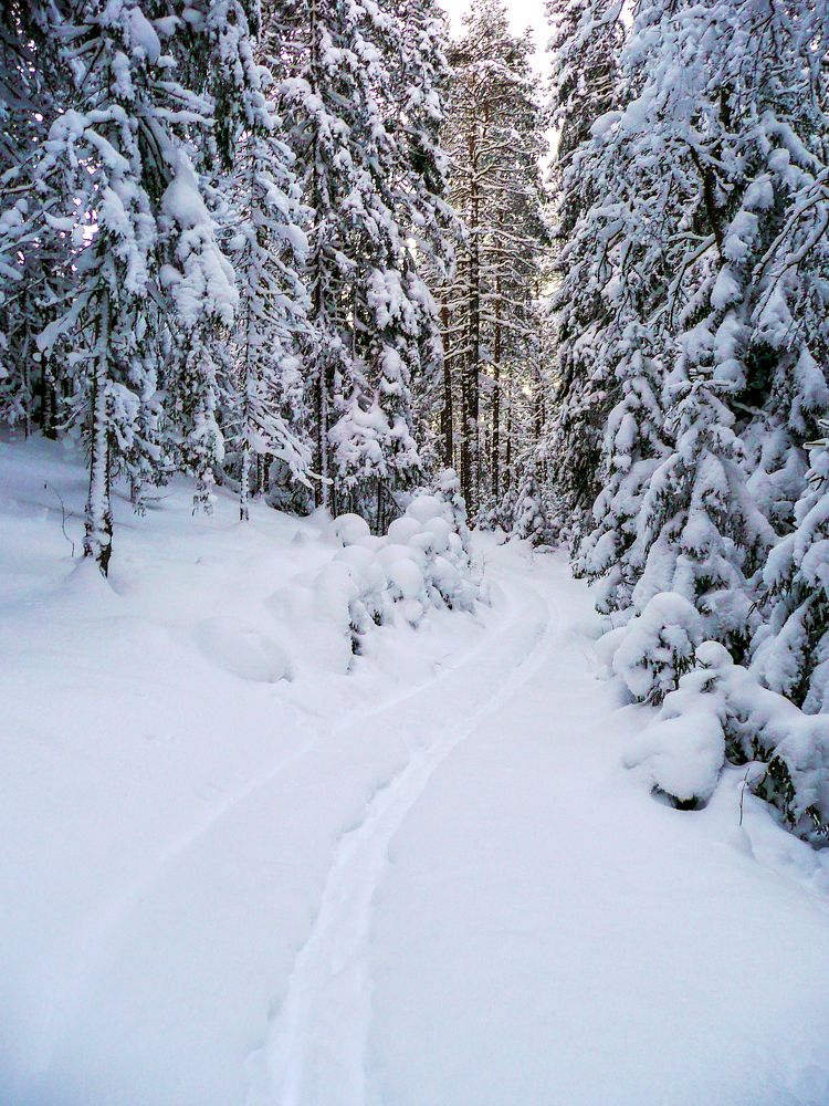 Photograph by Ubare Kelle