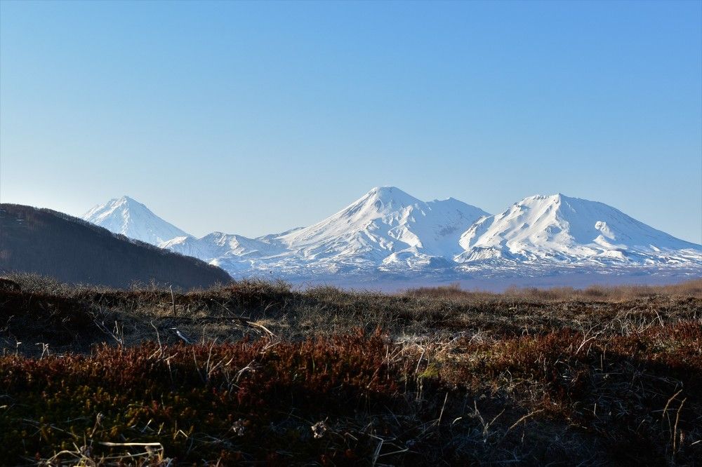 Photograph by Ирина Фирсова