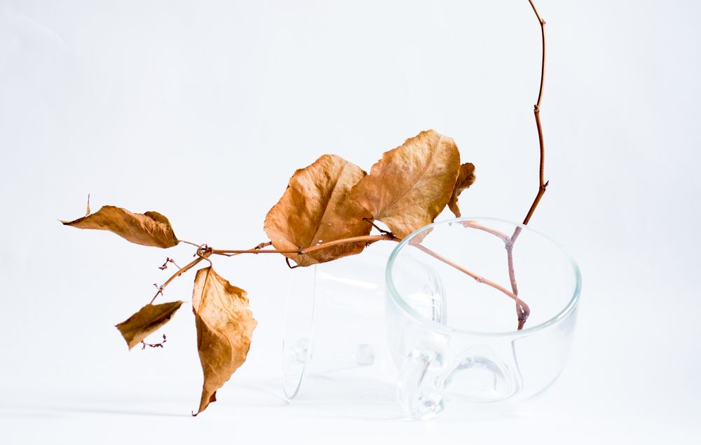 Photograph by Александра Ануфриева