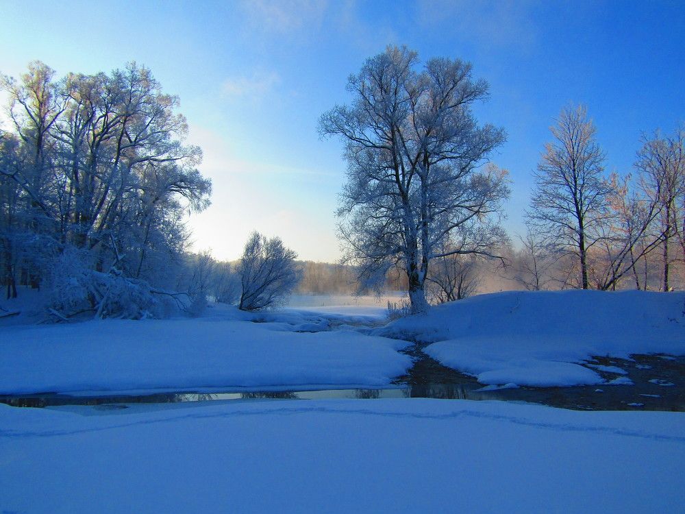 Photo #7021846