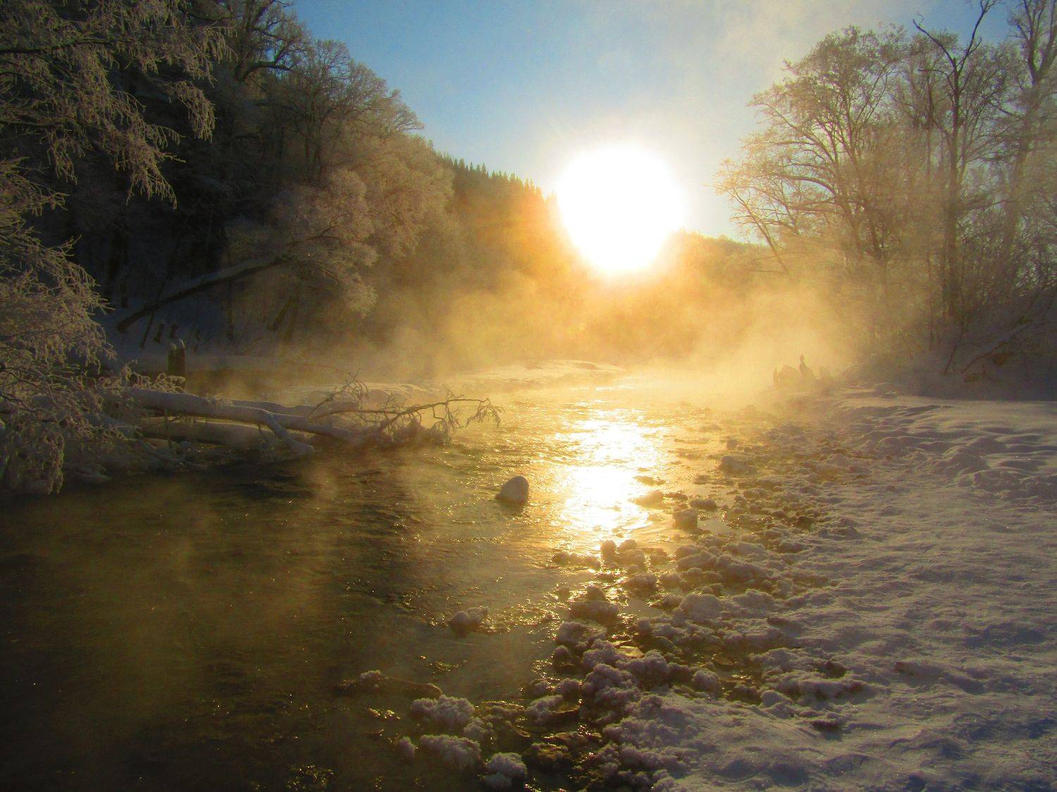 Photo #7021847