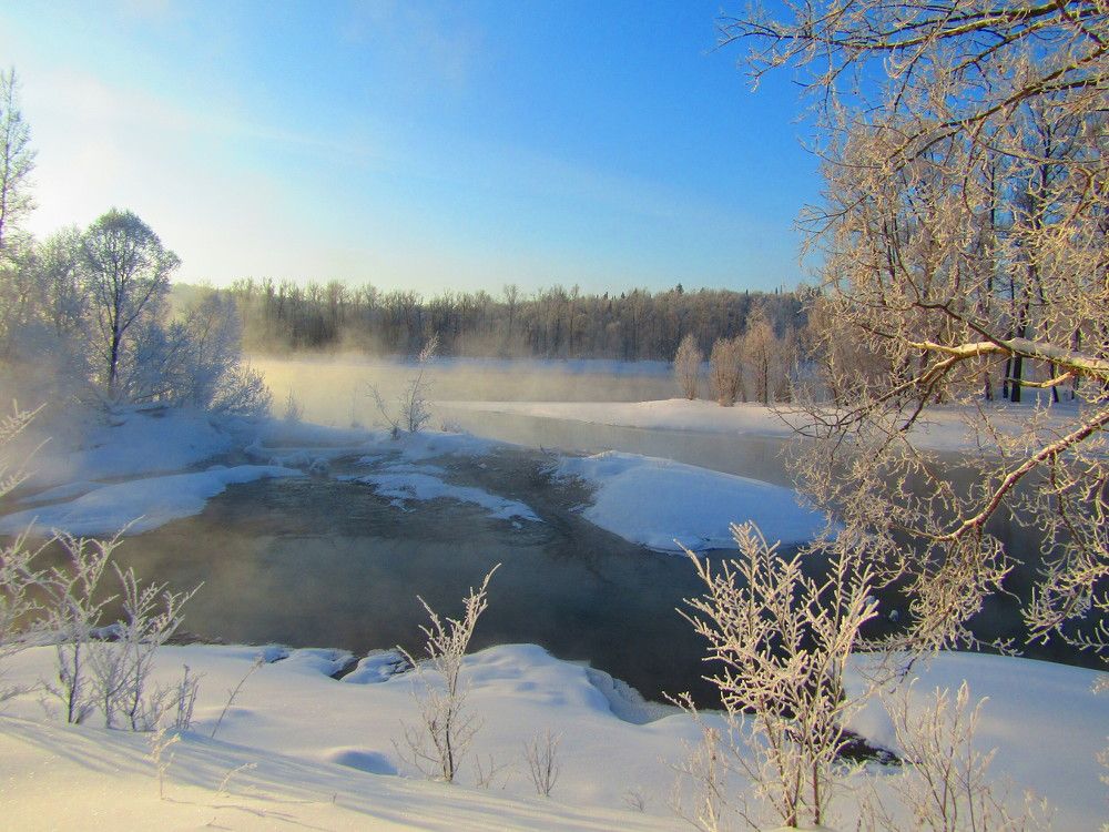 Photo #7021848