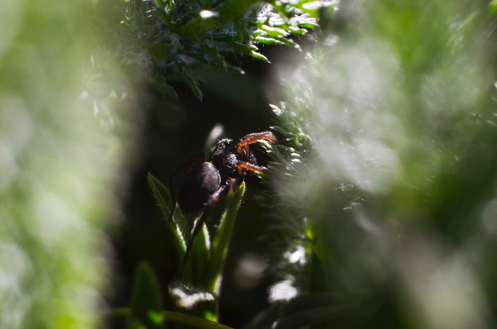 Photograph by Елена Шевченко