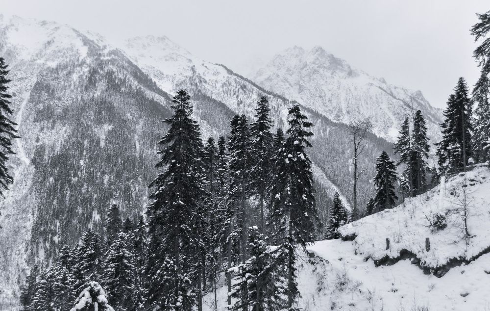 Photograph by Елена Шевченко