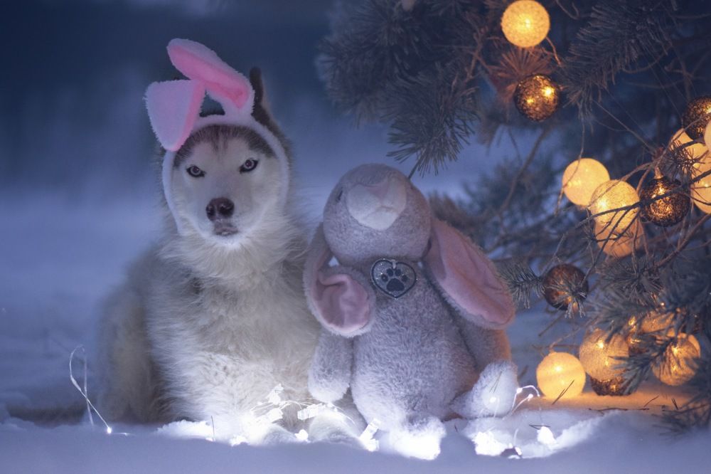 Фотография автора Мария Яропольская