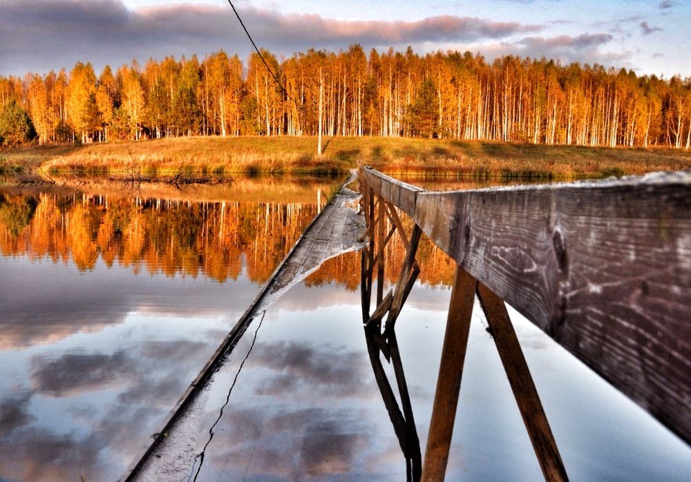 Photograph by Светлана Серова