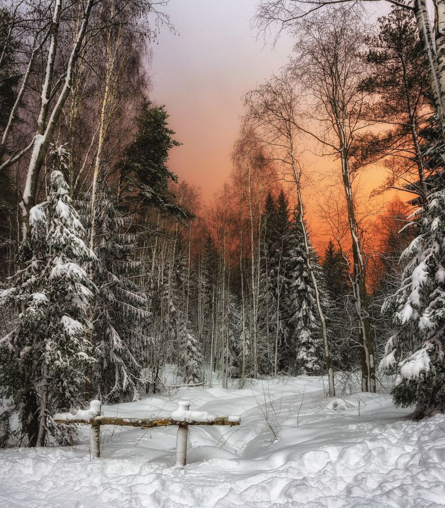 Photograph by Александр Парамонов