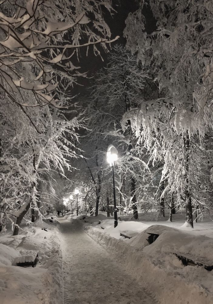 Photograph by Гордеева Ирина