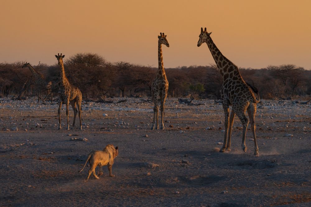 Photograph by Chris Stavrakas