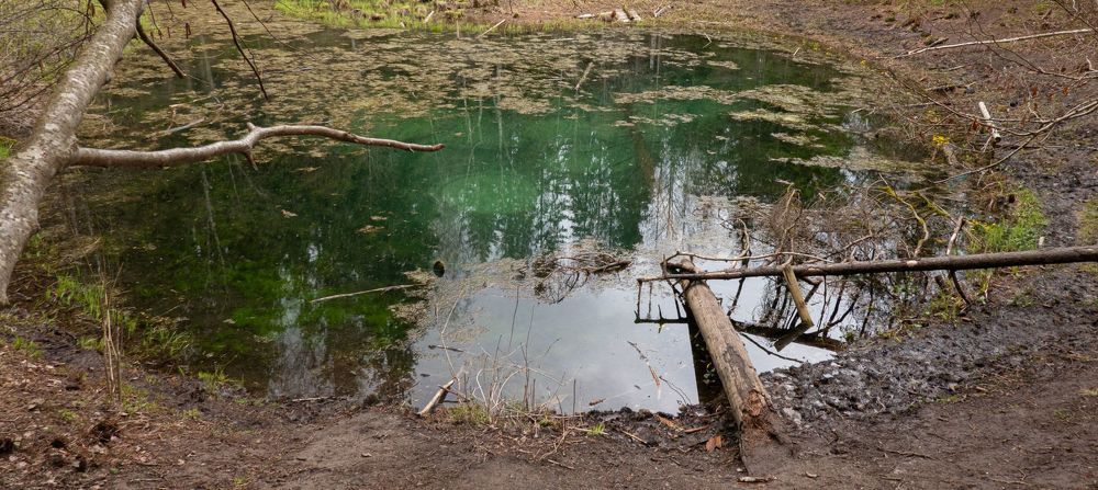 Photograph by Urmas Lind