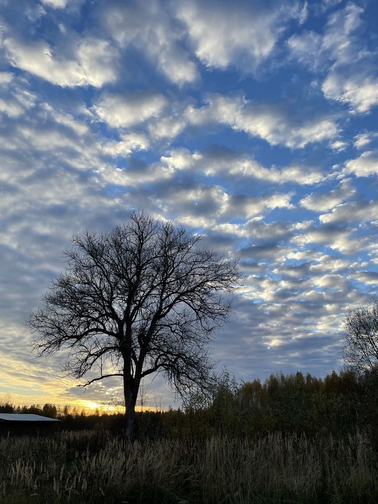 Photograph by Светлана Максимова